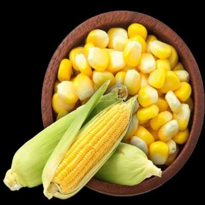 Maize / Corn